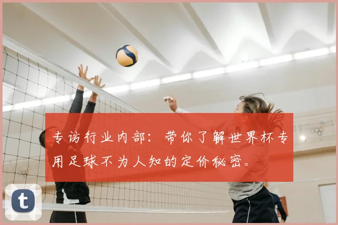 专访行业内部:带你了解世界杯专用足球不为人知的定价秘密。