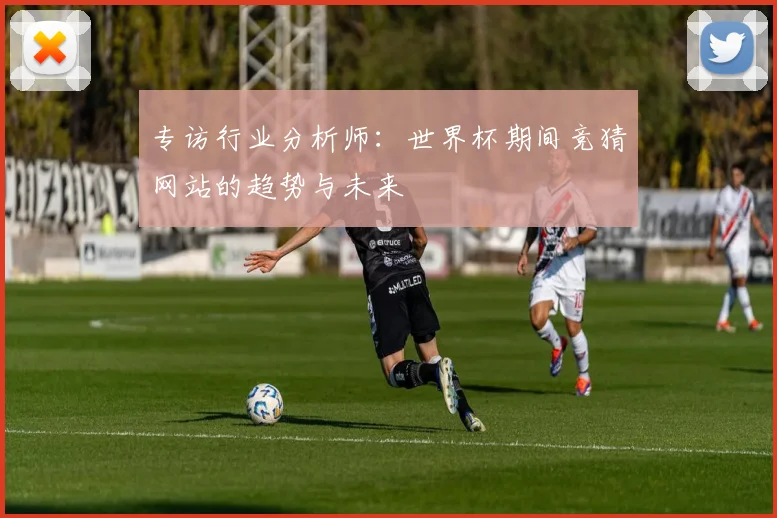专访行业分析师:世界杯期间竞猜网站的趋势与未来