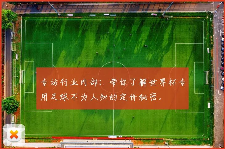 专访行业内部:带你了解世界杯专用足球不为人知的定价秘密。
