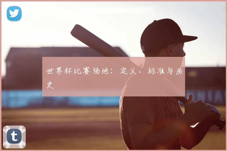 世界杯比赛场地：定义、标准与历史