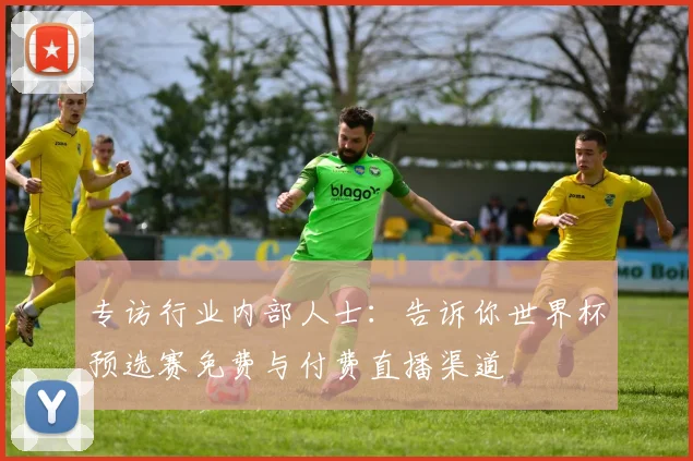 专访行业内部人士:告诉你世界杯预选赛免费与付费直播渠道