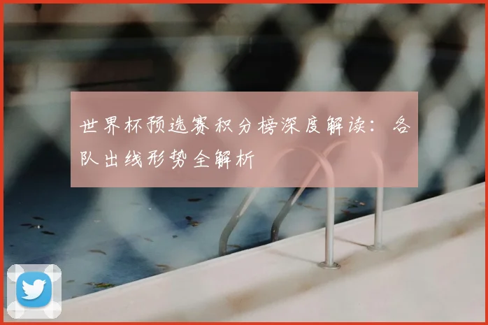 世界杯预选赛积分榜深度解读：各队出线形势全解析