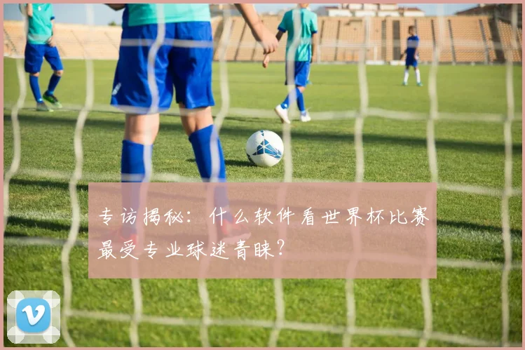 专访揭秘:什么软件看世界杯比赛最受专业球迷青睐?