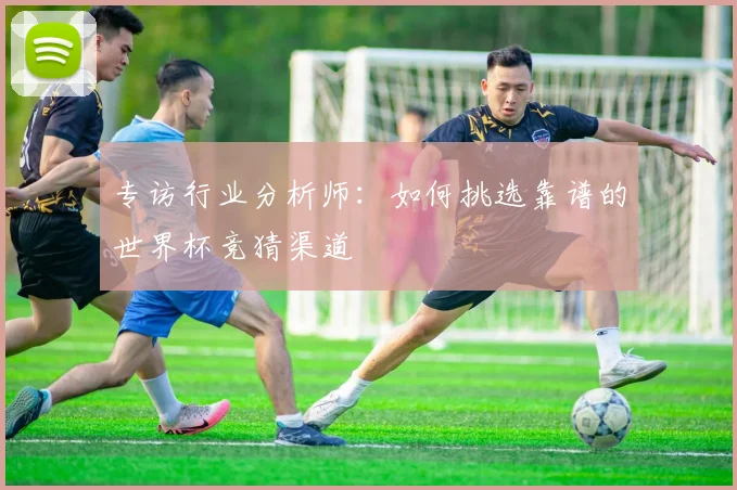 专访行业分析师：如何挑选靠谱的世界杯竞猜渠道