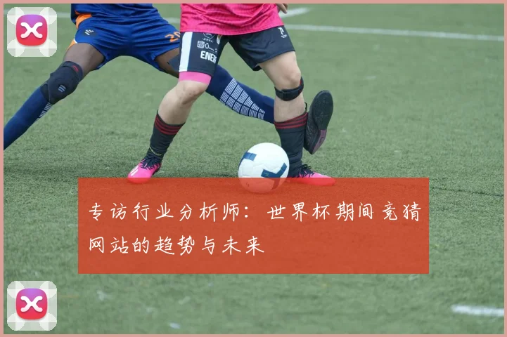 专访行业分析师:世界杯期间竞猜网站的趋势与未来