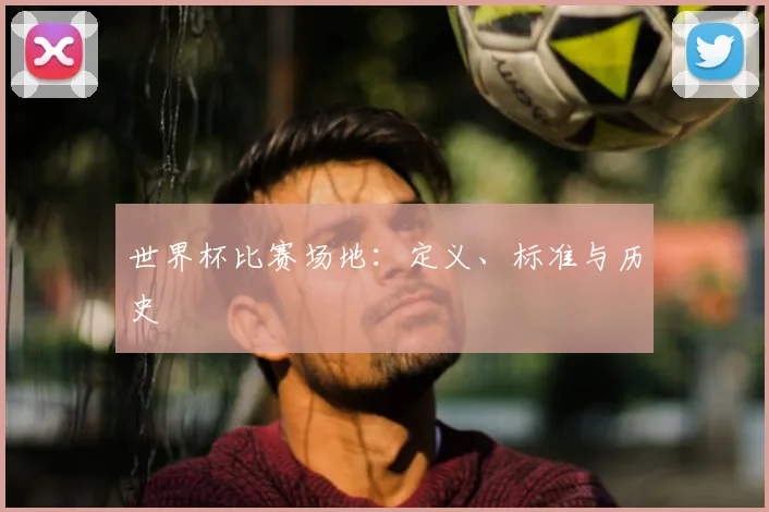 世界杯比赛场地：定义、标准与历史