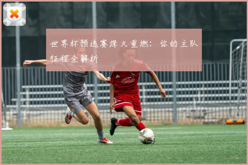 世界杯预选赛烽火重燃：你的主队征程全解析